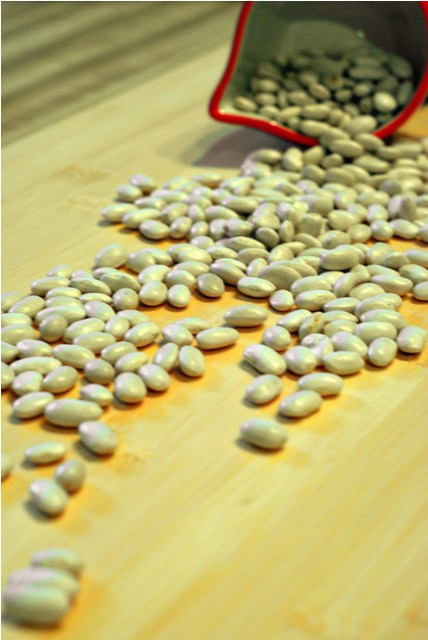 Dried Cannelini beans