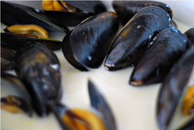 Steaming mussels in cream both