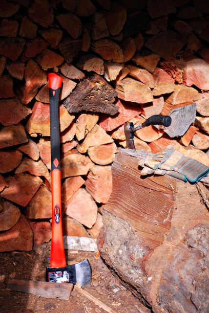 Firewood stacked for winter