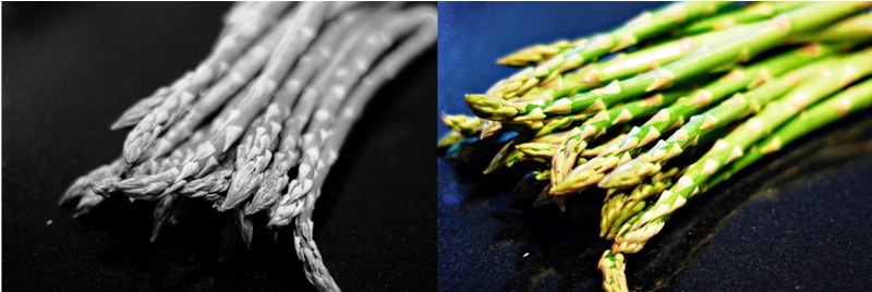 Asparagus Panorama