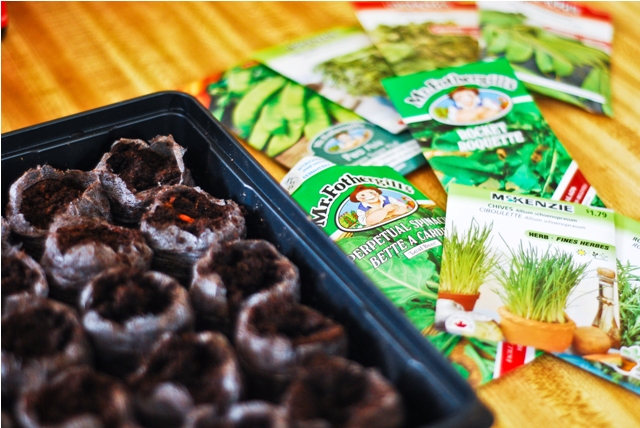 Seed packets