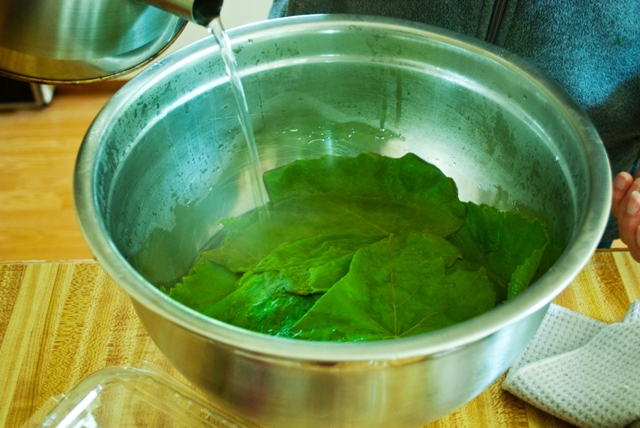 Blanched Grape Leaves 1