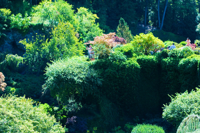 Butchart Gardens 9-2