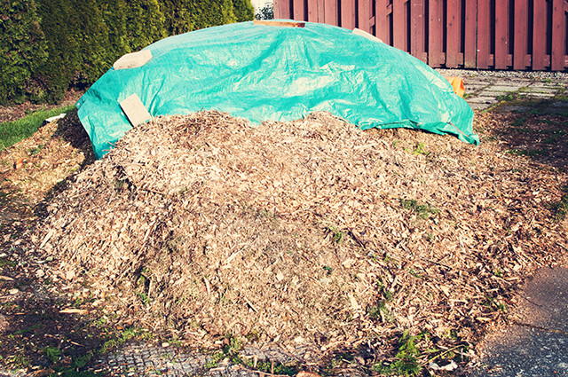 woodchips-pile1-2