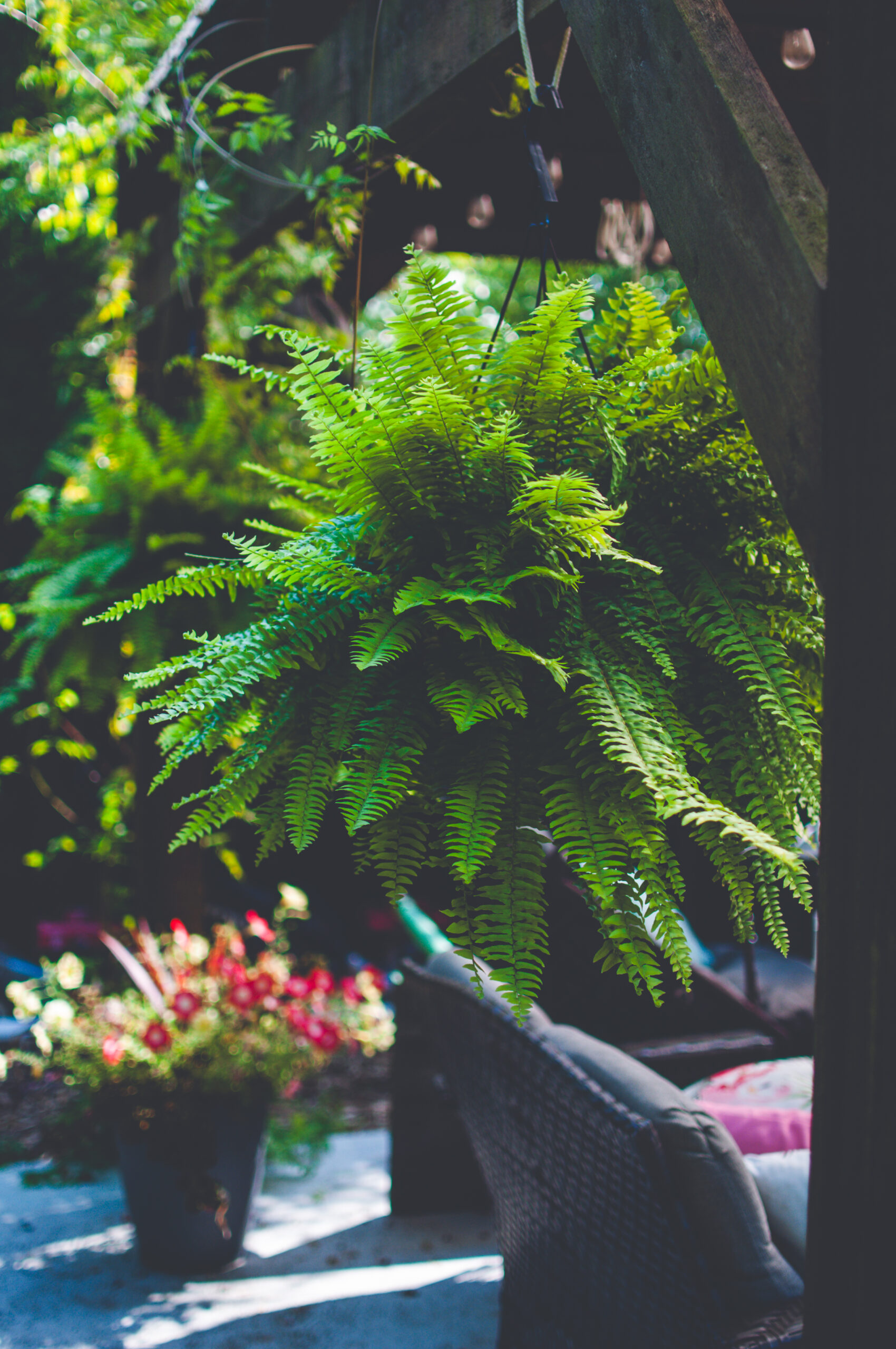 practice sept 2 2025 4